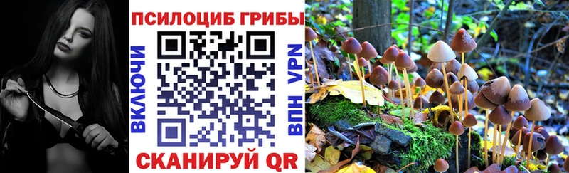 Купить закладки  Асбест  Галлюциногенные грибы прущие грибы 